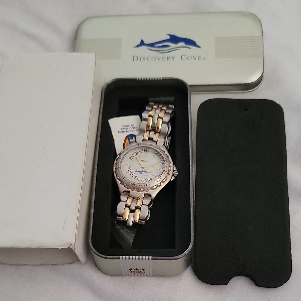 Fossil Silver and Gold Bracelet Watch